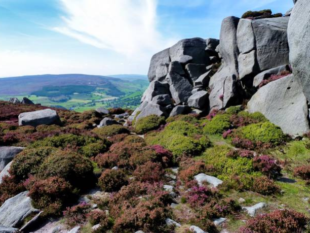 image of the Yorkshire Dales landscape