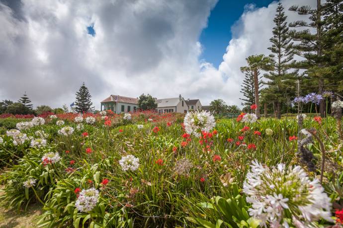 Image of a house on st Helena with flowers in front of it and trees behind