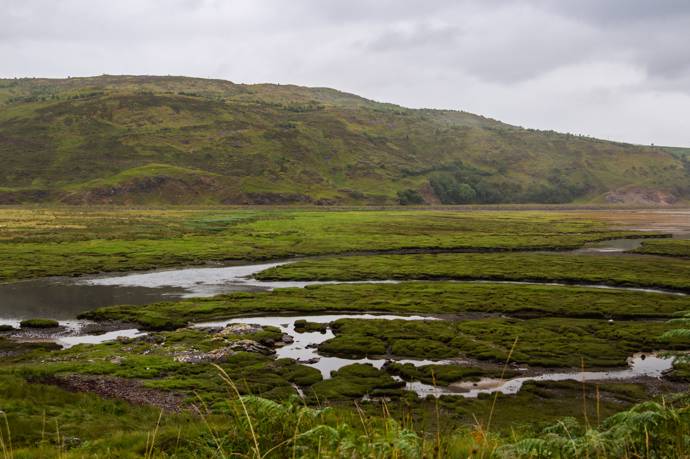 Image of a peatbog in scotland 